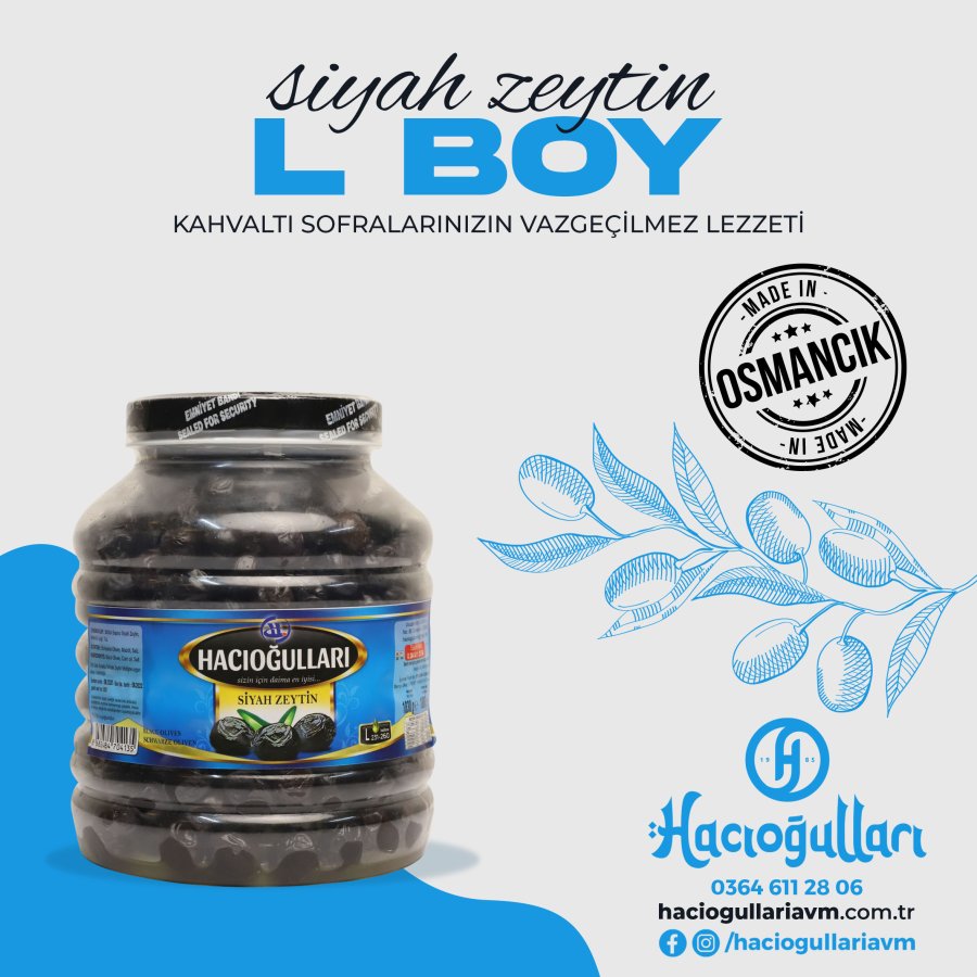 Hacıoğulları Siyah Zeytin L 1830gr